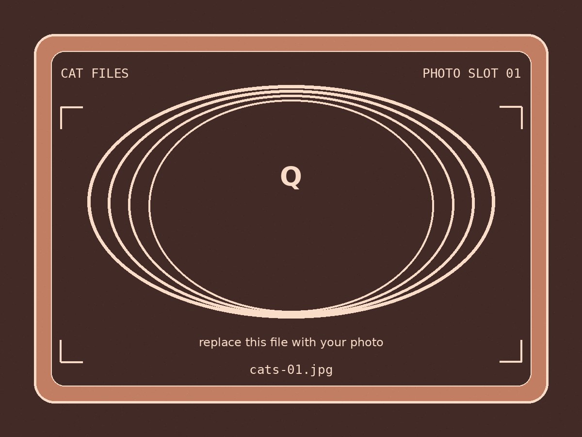 Cat files gallery placeholder 1