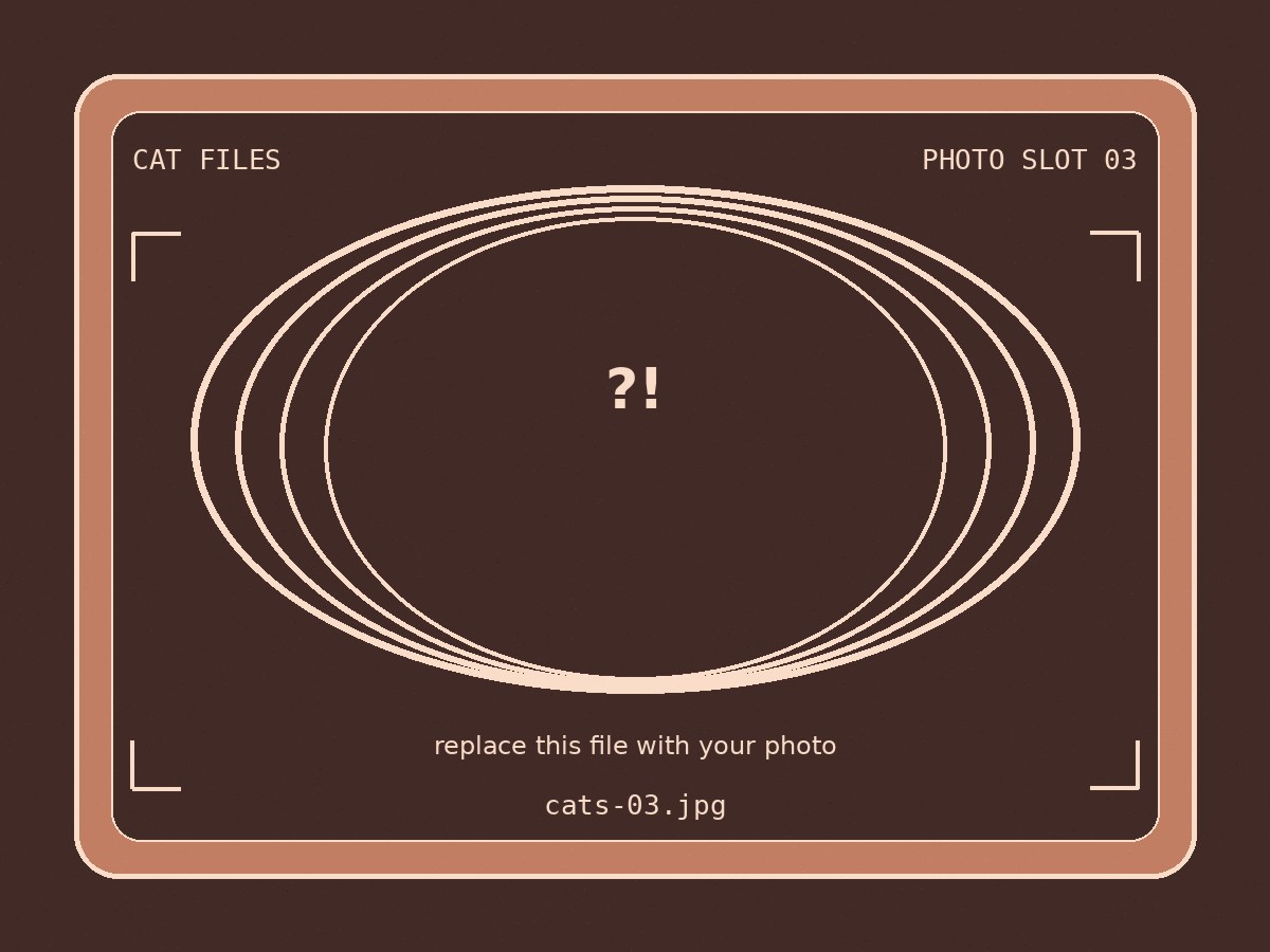 Cat files gallery placeholder 3