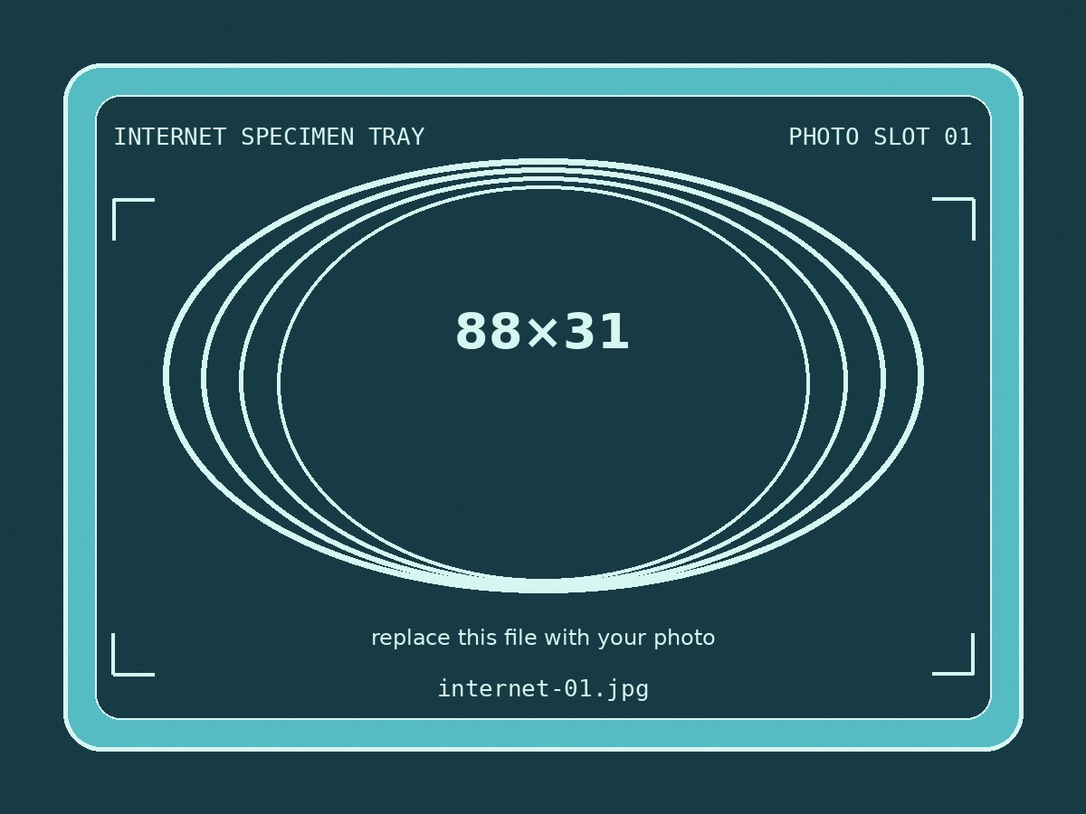 Internet Specimen Tray gallery placeholder 1
